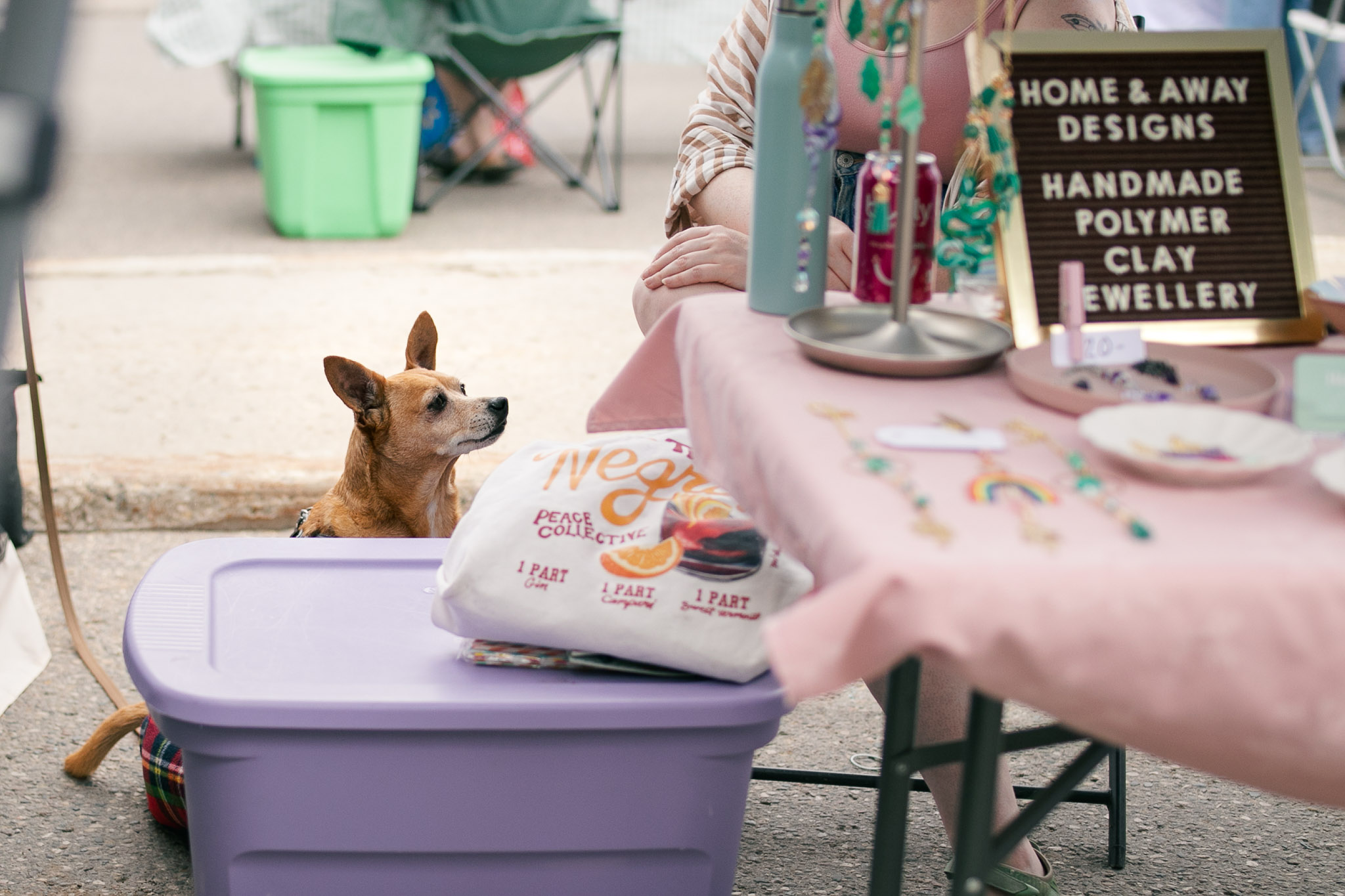 Vendor dog, 2025